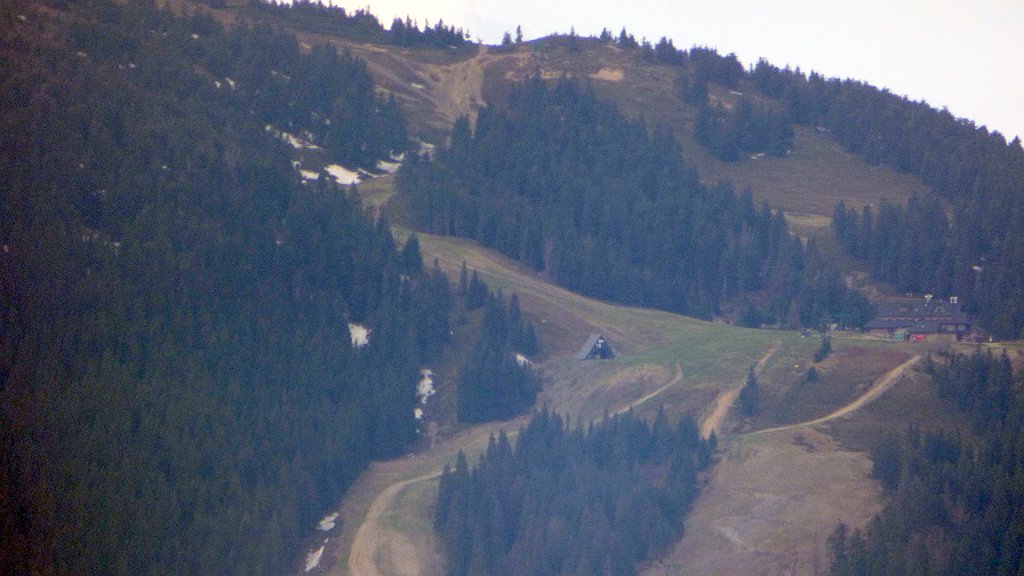 067_FZ72_P1070335.JPG