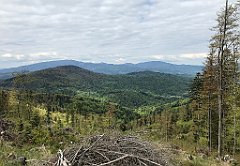 114_iP_200521_IMG_0093