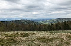 269_iP_200521_IMG_0102