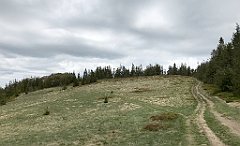 280_iP_200521_IMG_0115