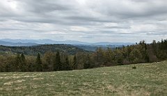 283_iP_200521_IMG_0118