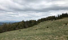 284_iP_200521_IMG_0119