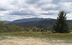 315_p20_IMG_20200521_120658