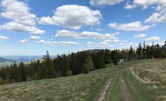 540_iP_200521_IMG_0146