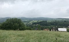 227_iP_20200615_IMG_1118