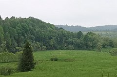 008_p20_IMG_20200617_101721