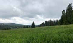 051_iP_200617_IMG_1129