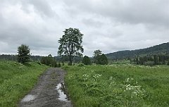 100_iP_200617_IMG_1147