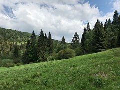 305_iP_200617_IMG_1172