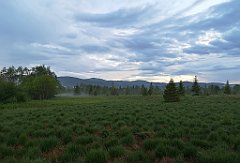 485_p20_IMG_20200617_192819