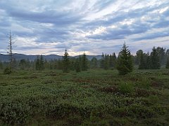 492_p20_IMG_20200617_193016