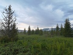 497_p20_IMG_20200617_193138