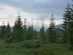 501_p20_IMG_20200617_193222