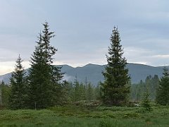 506_p20_IMG_20200617_193300