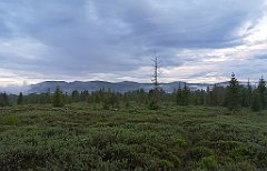 509_p20_IMG_20200617_193609