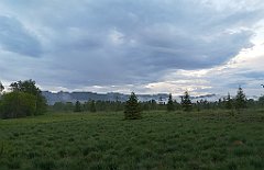 520_p20_IMG_20200617_194017