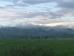 522_p20_IMG_20200617_194053