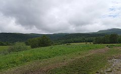 026_p20_IMG_20200619_100117