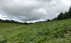 071_iP_200619_IMG_1210