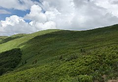 120_iP_200619_IMG_1236