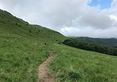 296_iP_200619_IMG_1307