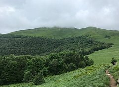 304_iP_200619_IMG_1310