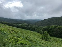 305_iP_200619_IMG_1311