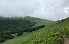 309_iP_200619_IMG_1317