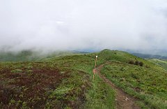 364_p20_IMG_20200619_151050