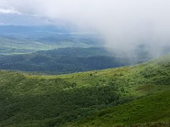 374_p20_IMG_20200619_151155