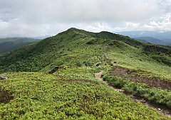 534_iP_200619_IMG_1357