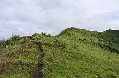 566_p20_IMG_20200619_161436