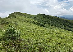 568_iP_200619_IMG_1370