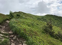 622_iP_200619_IMG_1380