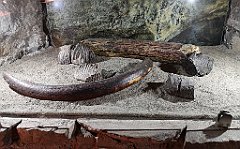 066_p20_IMG_20200620_102241