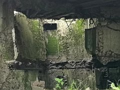 282_p20_IMG_20200620_131853