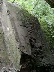 321_p20_IMG_20200620_132702