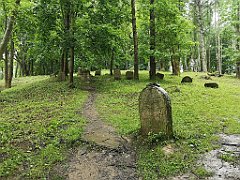 371_p20_IMG_20200620_140448