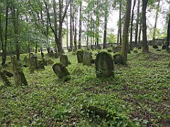 415_p20_IMG_20200620_141756