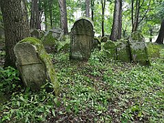 421_p20_IMG_20200620_141906