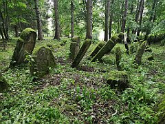 422_p20_IMG_20200620_141915