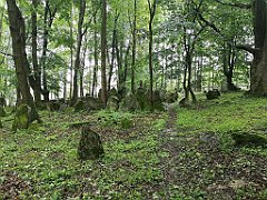 427_p20_IMG_20200620_142021