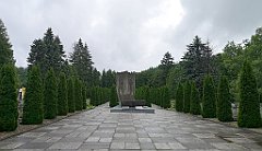 462_p20_IMG_20200620_151919