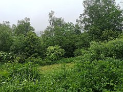 178_p20_IMG_20200621_121011