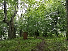 195_p20_IMG_20200621_121601