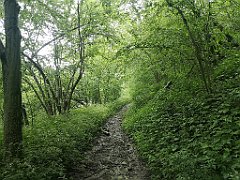 233_p20_IMG_20200621_131000