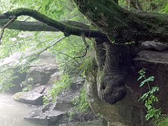 284_p20_IMG_20200621_134910