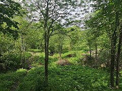 430_p20_IMG_20200621_152327