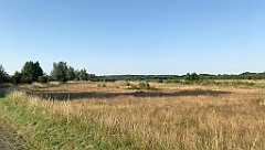 047_iP_200719_IMG_1486