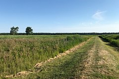 102_iP_200719_IMG_1506